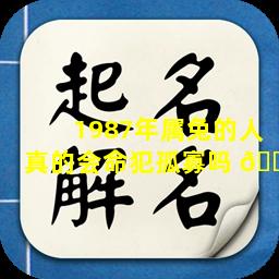 1987年属兔的人真的会命犯孤寡吗 🐘